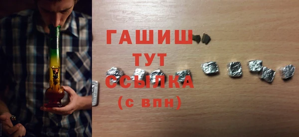 индика Нязепетровск