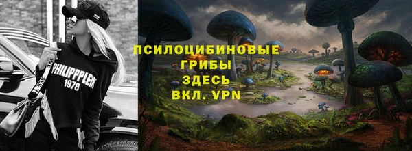 спайс Арсеньев