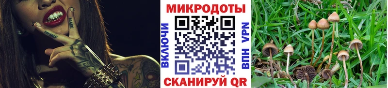 что такое   Усть-Лабинск  Галлюциногенные грибы Cubensis 